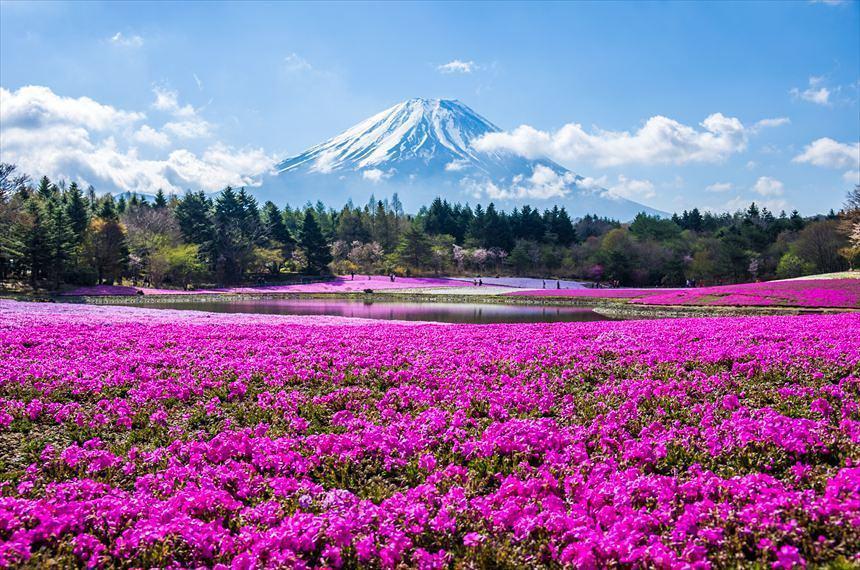 best-places-to-visit-in-japan.jpg