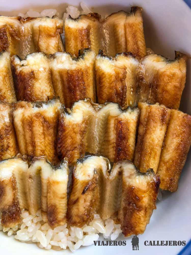 Unagi. Gastronomía japonesa