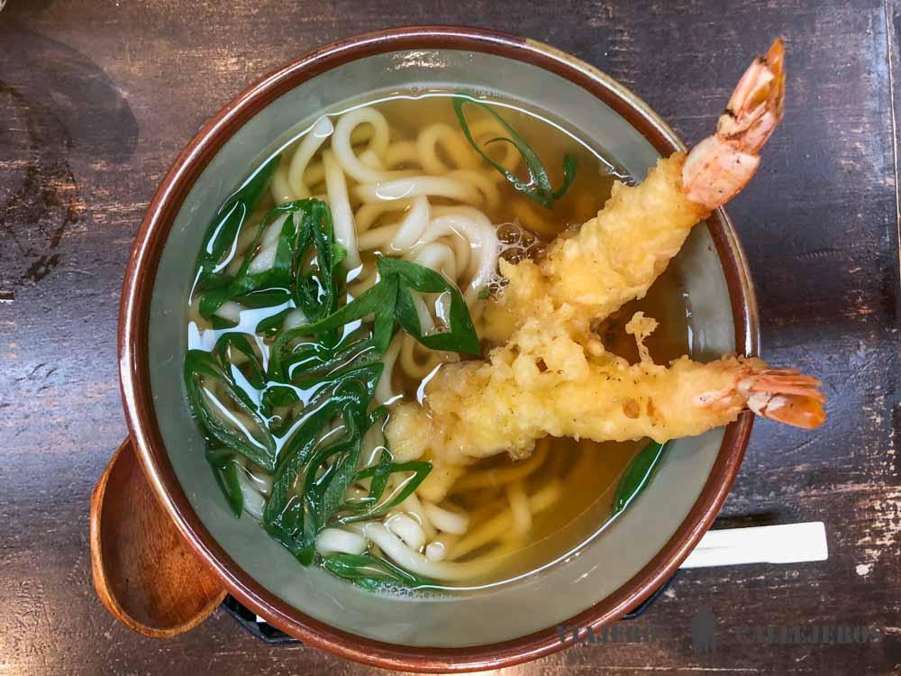 Udon. Comida japonesa