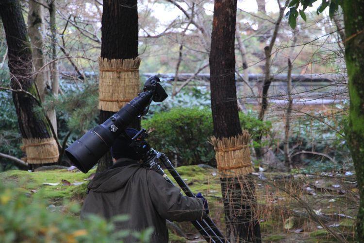 jardin koraku-en en okayama